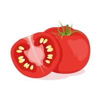 One whole red tomato and one cut in half vector