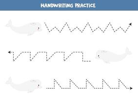 Tracing lines for kids. Cartoon cute beluga whale. vector