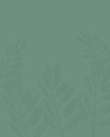 Abstract art background vector.  Leaves on green background vector illustration. Spring background banner.