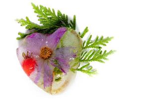 Summer flowers in the shape of an ice heart. Frozen flowers and plants. photo