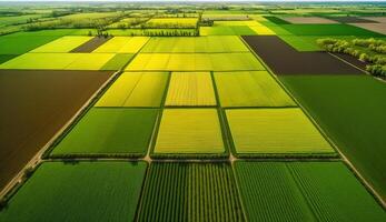 generativo ai, granja paisaje, agrícola campos, hermosa campo, país la carretera. naturaleza ilustración, fotorrealista parte superior ver zumbido, horizontal bandera. foto