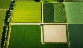 generativo ai, granja paisaje, agrícola campos, hermosa campo, país la carretera. naturaleza ilustración, fotorrealista parte superior ver zumbido, horizontal bandera. foto