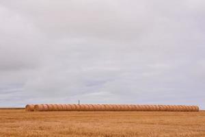 Scenic rural landscape photo