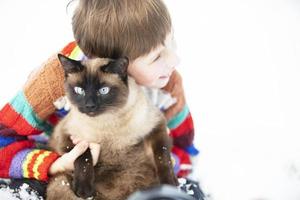 A little boy in a striped sweater is holding a Siamese cat. photo