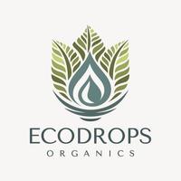 Luxury eco leaf water logo design template. Elegance nature plant drop logo. vector