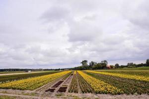 Scenic rural landscape photo