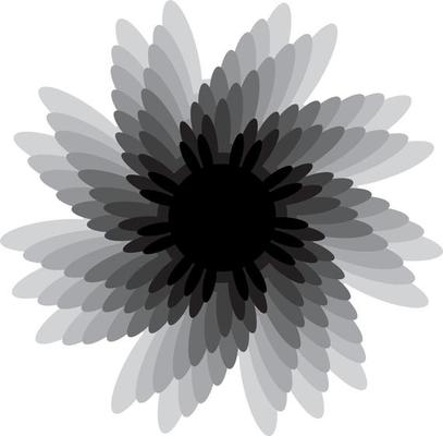 mandalas on monochrome