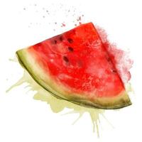 Watercolor fresh summer illustration of watermelon. Isolated illustration on a white background, for postcards, patterns, and textiles. vector