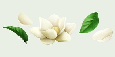 White jasmine drawings including flower bud, fresh leaves and petals. Floral elements isolated on light green background. Suitable for cosmetic or wedding decoration. vector