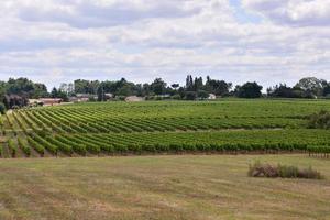 Scenic rural landscape photo