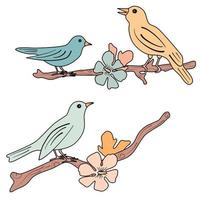 cute cartoon pastel birds sitting on branches with beautiful spring flowers vector set illustration isolated on white background