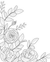 Beautiful hand drawn illustration of peony on a white background. vector