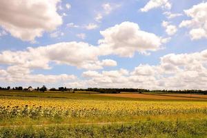 Scenic rural landscape photo