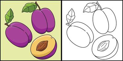 ciruela Fruta vegetal colorante página ilustración vector