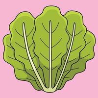 lechuga romana lechuga vegetal de colores dibujos animados vector