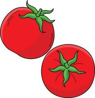 tomate Fruta dibujos animados de colores clipart ilustración vector