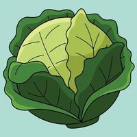 repollo vegetal de colores dibujos animados ilustración vector