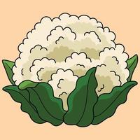 Cauliflower Vegetable Colored Cartoon Illustration vector