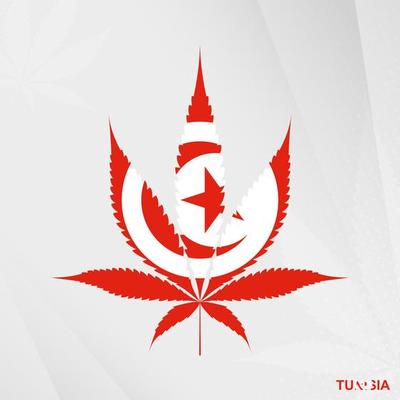 Flag of Tunisia in Marijuana leaf shape. The concept of legalization Cannabis in Tunisia.