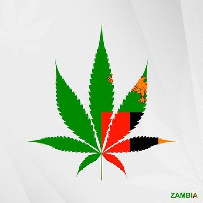 Flag of Zambia in Marijuana leaf shape. The concept of legalization Cannabis in Zambia.