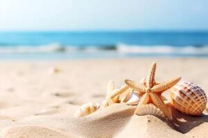 beautiful sea shells on the seashore with room for a product or advertising text with copy space. photo