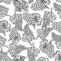 black and white outline seamless grapes pattern vector