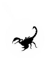 Scorpion on the Pan Silhouette for Bizarre or Extreme or Exotic Food, Traditional Food in Asian Country, Culinary Sign for Icon Symbol, Apps, Pictogram, Logo, Website, or Graphic Design Element. PNG