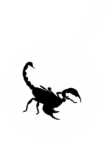 Scorpion on the Pan Silhouette for Bizarre or Extreme or Exotic Food, Traditional Food in Asian Country, Culinary Sign for Icon Symbol, Apps, Pictogram, Logo, Website, or Graphic Design Element. PNG