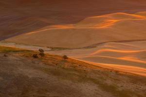 View of Steptoe Butte in the Palouse region, Washington state USA photo