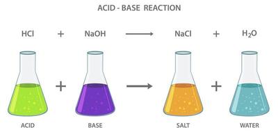 Acid base neutralization reaction  producing a salt and water vector