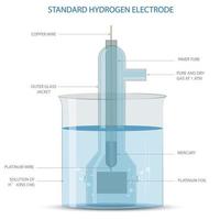 un estándar hidrógeno electrodo ella es un electrodo ese científicos utilizar como un referencia electrodo con potencial cero vector