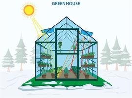 Plants growing in pots inside the glass greenhouse vector