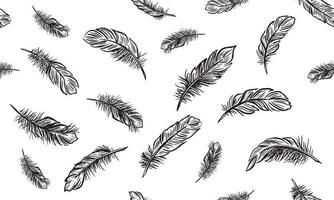 Feather Set hand drawn illustrations. vector