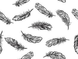 Feather Set hand drawn illustrations. vector