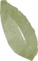 isolerat vattenfärg illustration av blad png