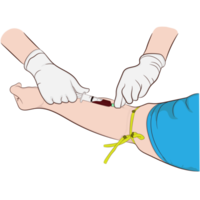 gráficos dibujo imagen un médico utilizando un aguja a retirar sangre desde un investigador a cheque el cuerpo png