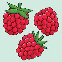 Raspberry Fruit Colored Cartoon Illustration vector