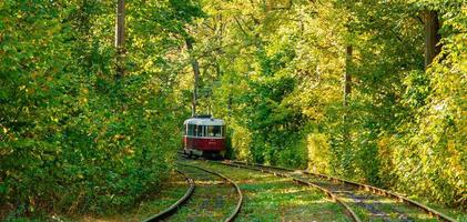 tranvía y rieles de tranvía en un bosque colorido foto