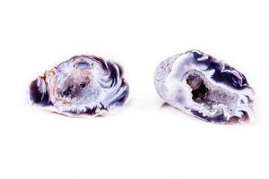 Macro mineral stone agate bud on white background photo