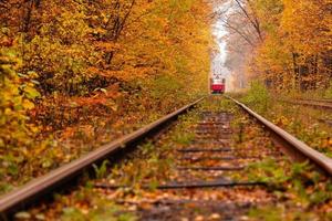 autumn forest among which goes a strange tram photo