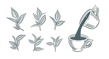 Green Tea Cup, hand drawn, drawing isolated on white vector