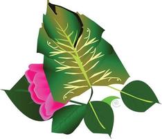 beautiful green leaf with flower vector