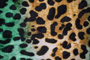 Color Animal print modern background texture photo