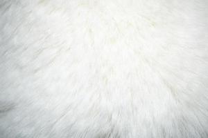 Blank clean white natural fur background full frame close up photo