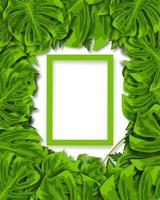 Beautiful green tropical leaves background, with frame and space for text photo