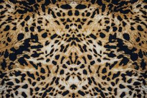 Beautiful wild animal skin, close up animal print photo