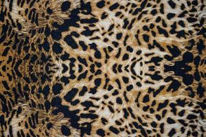 Leopard animal print background texture photo