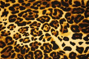 animal print background texture close up photo