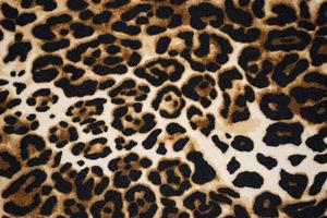 Beautiful Wild animal print texture background full frame photo