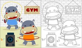 Vector cartoon of two funny hippo exercising in gym, coloring book or page